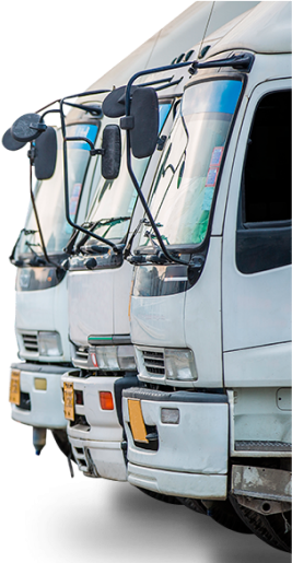 camion camion