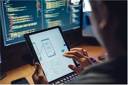 Desarrollo web móvil